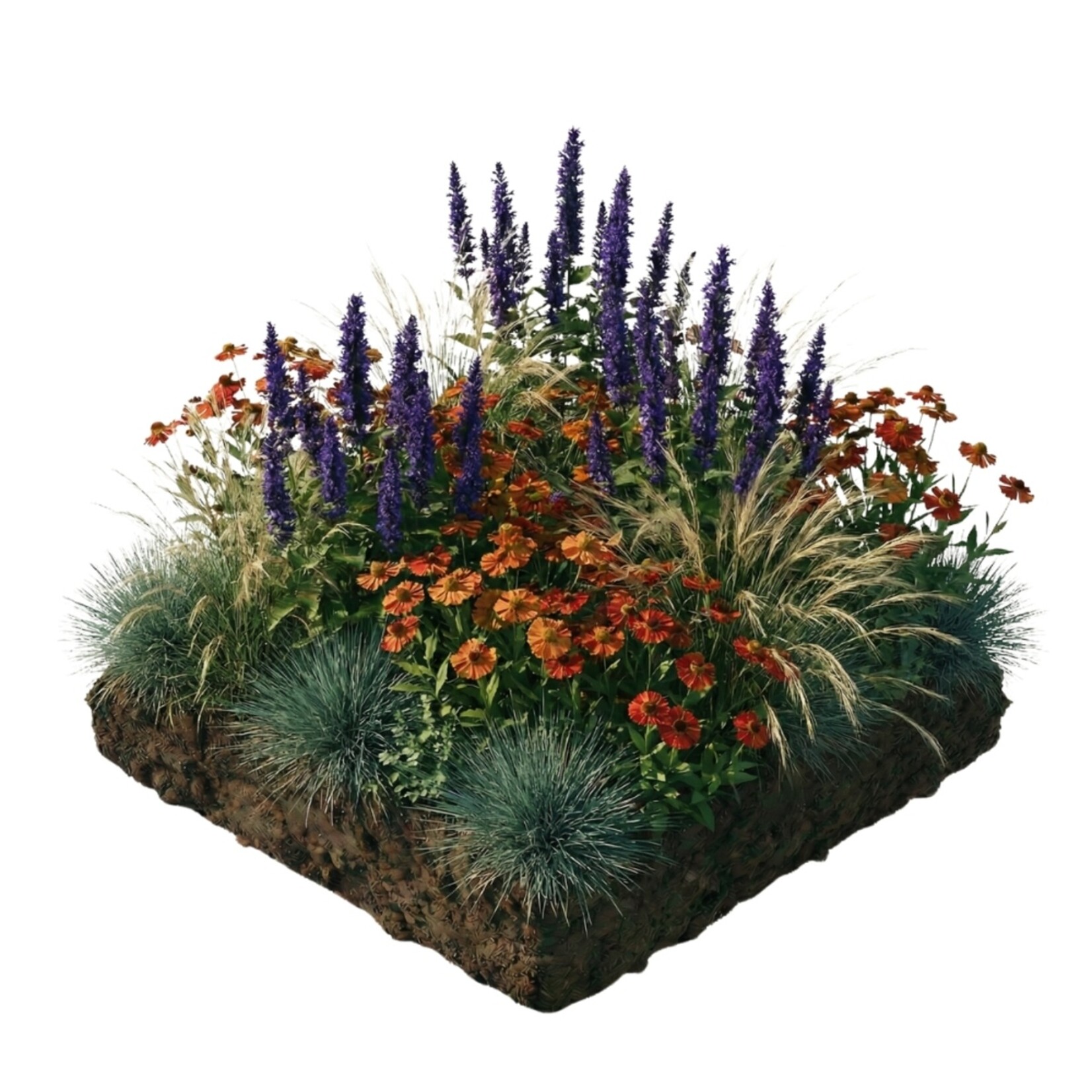 NatureNest Borderpakket Amber - Vaste Borderplanten Mix - Kleurrijke Tuinborder