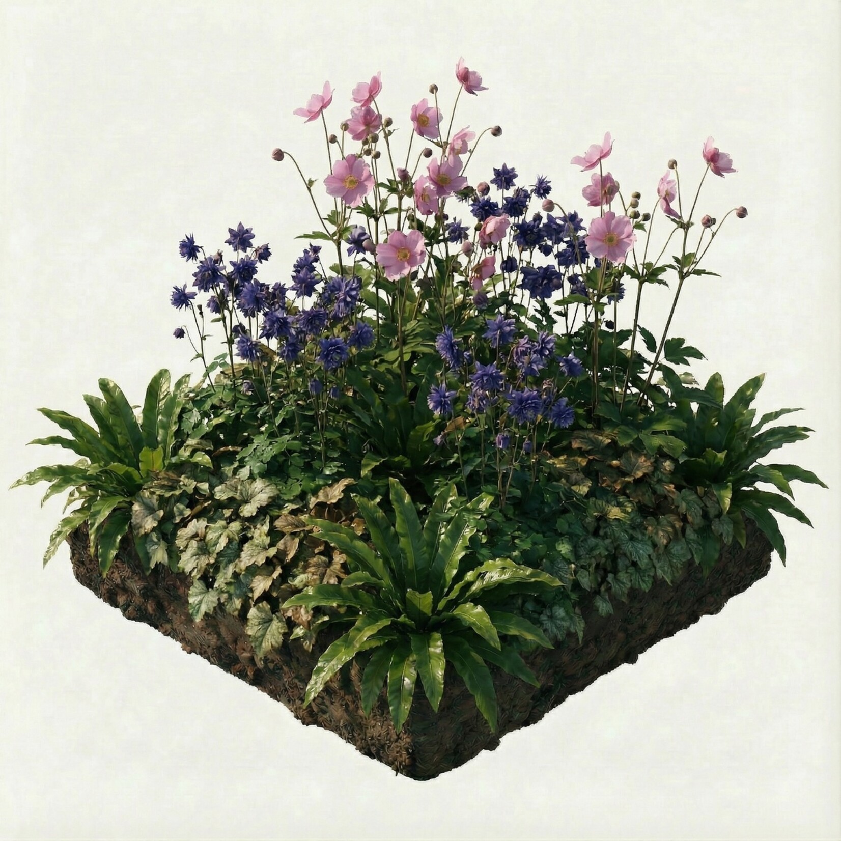 NatureNest Borderpakket Nora - Vaste Borderplanten Mix - Kleurige Bloeiborder voor Tuin