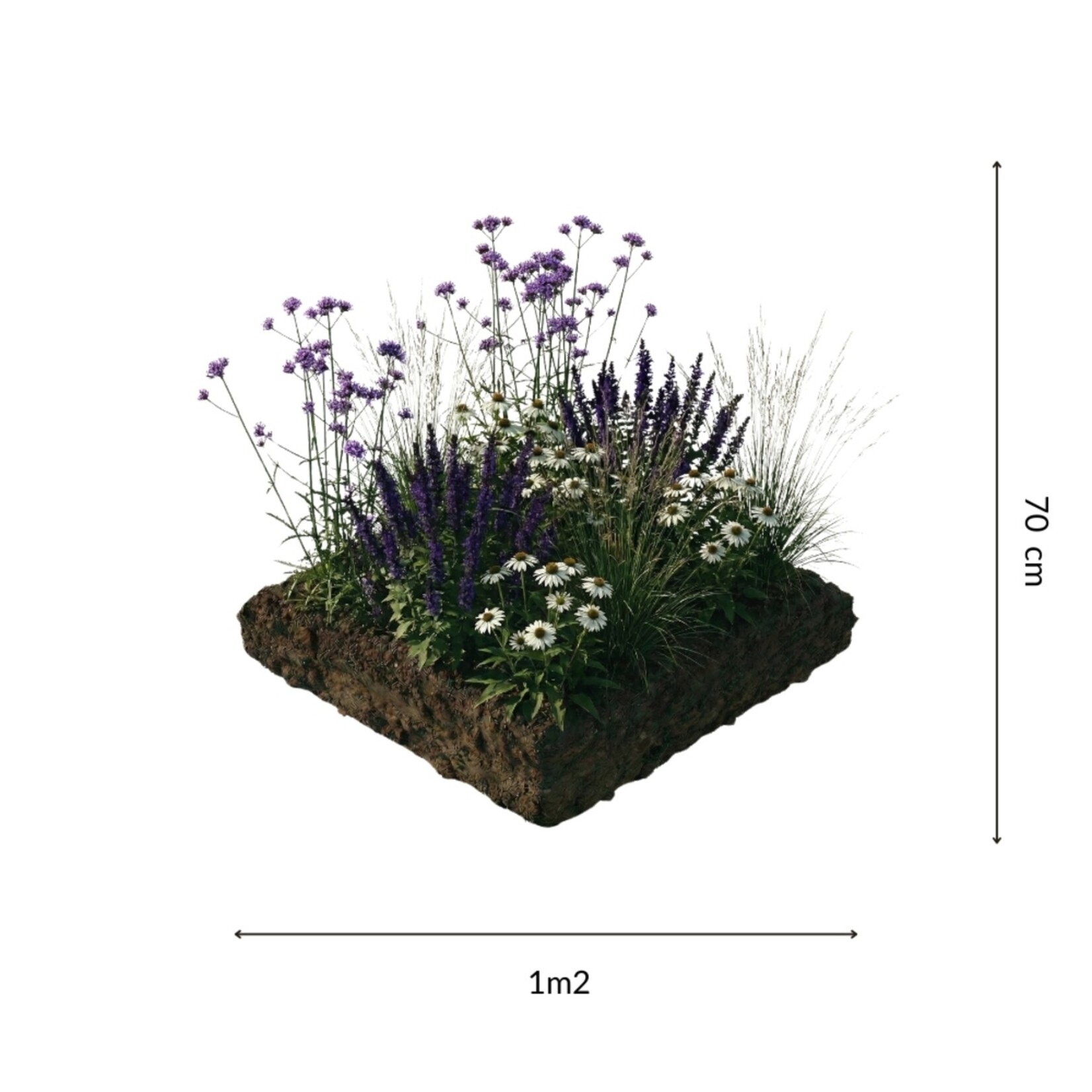 NatureNest Borderpakket Joy - Vaste Borderplanten Mix - Kleurrijke Bloeiers voor de Tuin
