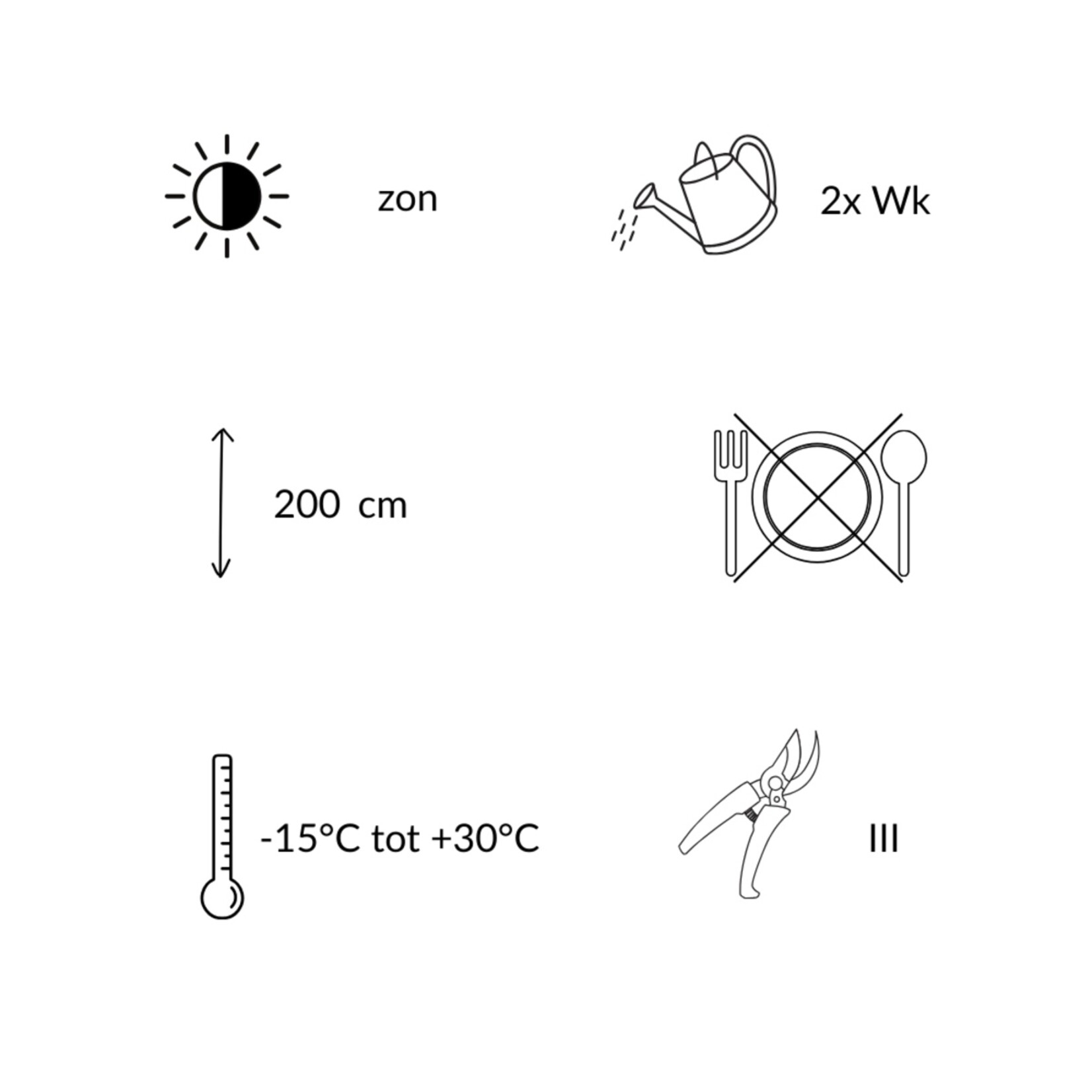NatureNest Zonnige Oogst Trio Groenteplanten – Tomaat, Paprika en Chilipeper – 3