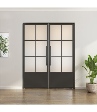 Dubbele stalen taatsdeur - Zwart - 6 Vlaks met kickplate  - Mat glas