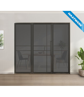 Enkele stalen taatsdeur met glaspaneel, Zwart - 6 vlaks, rook glas