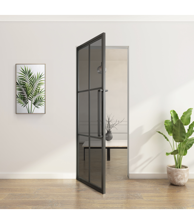 Stalen Taatsdeur - Zwart - 6 Vlaks - Moderne look