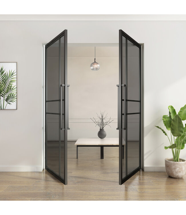 Dubbele stalen taatsdeur - Zwart - 6 Vlaks  - Rookglas - Luxe design
