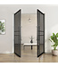 Dubbele stalen taatsdeur - Zwart - 6 Vlaks  - Rookglas - Luxe design