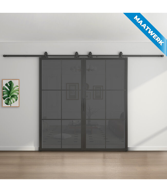 Dubbele stalen Schuifdeuren - Zwart - 6 Vlaks - Maatwerk - Luxe design - Helder glas