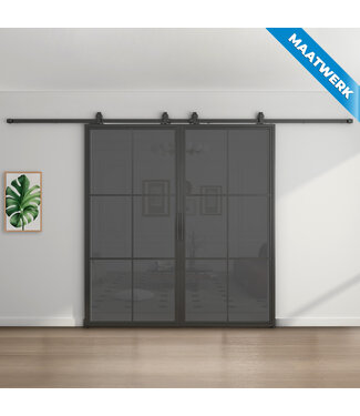 Dubbele stalen Schuifdeuren - Zwart - 6 Vlaks - Maatwerk - Rook glas