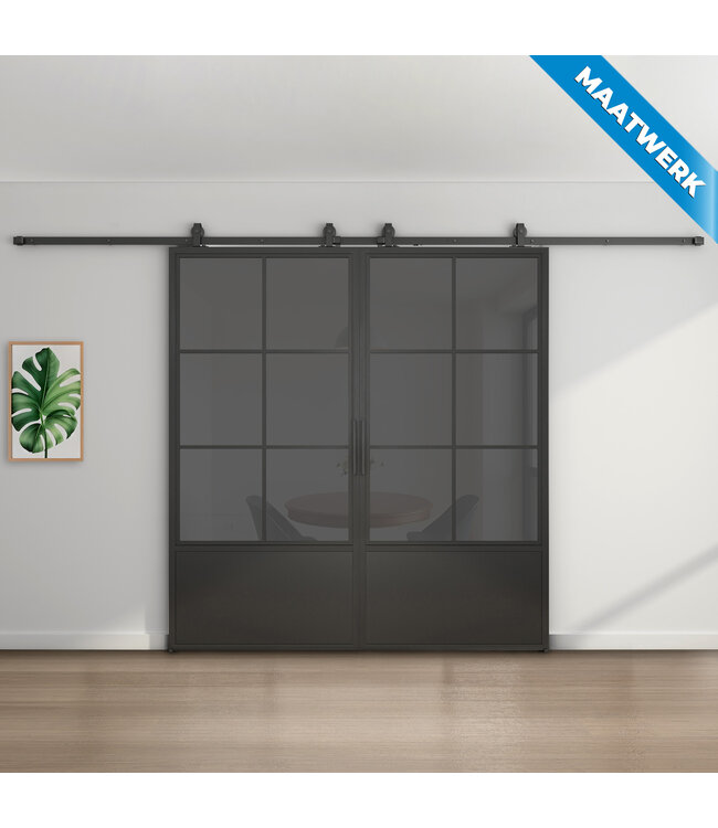 Dubbele stalen Schuifdeuren - 6 Vlaks met kickplate - Maatwerk - Rook glas
