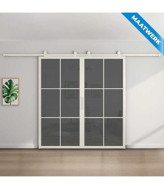 Dubbele stalen Schuifdeuren - 6 Vlaks - Wit - Maatwerk - Mat glas