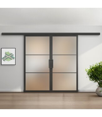 Dubbele stalen schuifdeur met koofsysteem - Zwart - 3 Vlaks - Mat glas