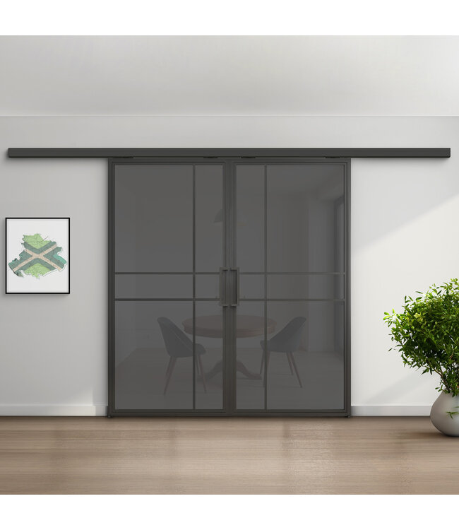 Dubbele stalen schuifdeur met koofsysteem - 6 Vlaks - Mat glas - Luxe design
