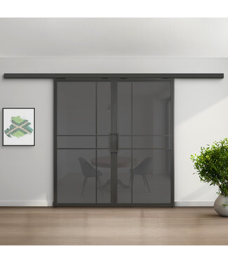 Dubbele stalen schuifdeur met koofsysteem - 6 Vlaks - Rook glas - Luxe design Dubbele stalen schuifdeur met koofsysteem - 6 Vlaks - Rook glas - Luxe design