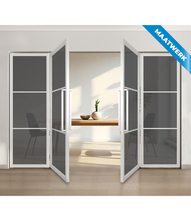 Dubbele stalen taatsdeur met glaspaneel, 3 vlaks, wit, rook glas