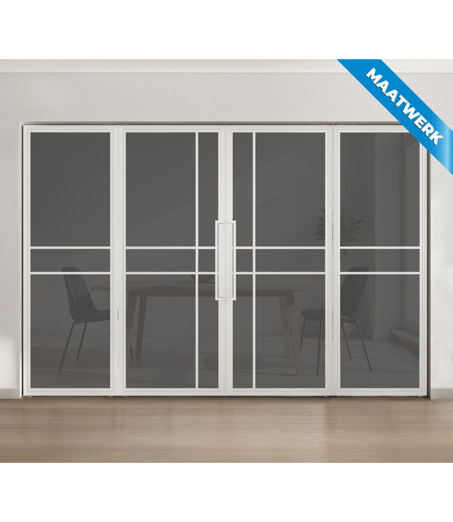 Dubbele stalen taatsdeur met glaspaneel, 6 vlaks, wit, rook glas