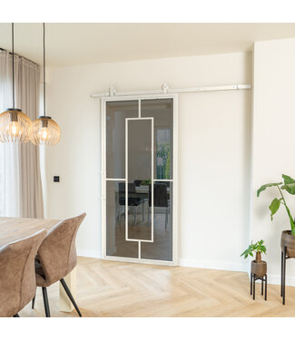 Stalen Schuifdeur - Wit - 5 Vlaks - Rook glas