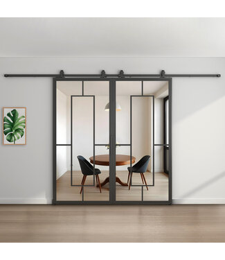 Dubbele stalen schuifdeur - Zwart - 5 Vlaks - Helder glas