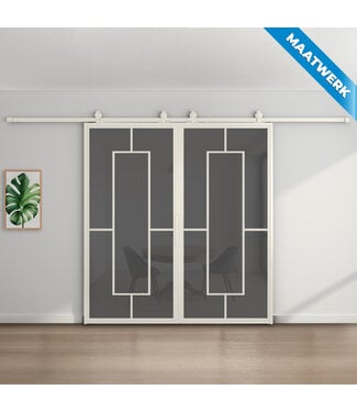 Dubbele stalen Schuifdeuren - Wit - 5 Vlaks - Maatwerk - Rook glas