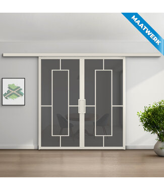 Dubbele stalen Schuifdeuren met koofsysteem - Wit - 5 Vlaks - Maatwerk - Rook glas