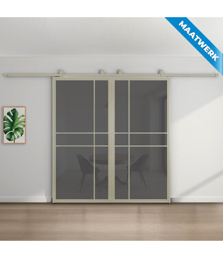 Dubbele Stalen Schuifdeuren - Kiezelgrijs - 6 Vlaks - Maatwerk - Rook glas - Luxe design