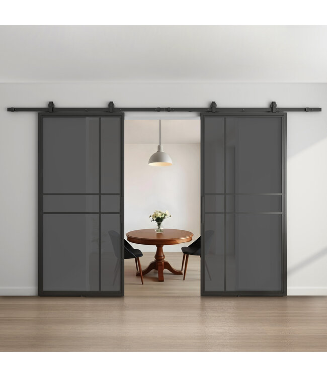 Dubbele stalen schuifdeur - Zwart - 6 Vlaks - Rook glas - Luxe design*
