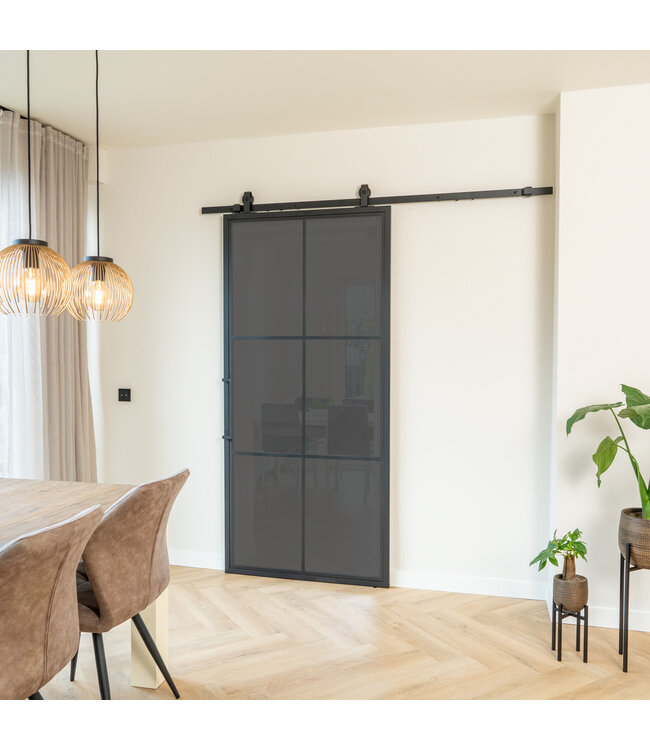 Stalen Schuifdeur - 6 Vlaks - Mat glas*