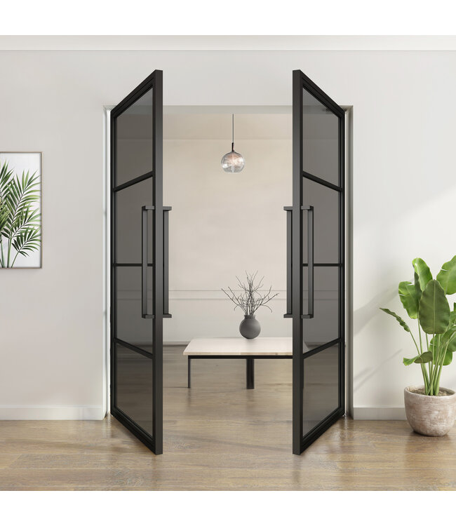 Dubbele stalen taatsdeur - Zwart - 4 Vlaks - Rook glas*