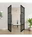 Dubbele stalen taatsdeur - Zwart - 4 Vlaks - Rook glas*