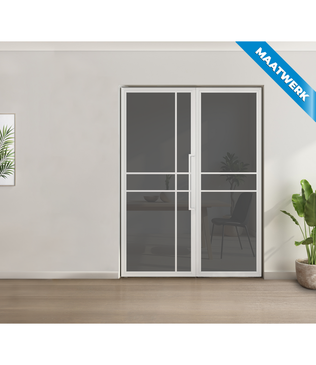 Enkele stalen taatsdeur met glaspaneel, 6 vlaks, wit, rook glas