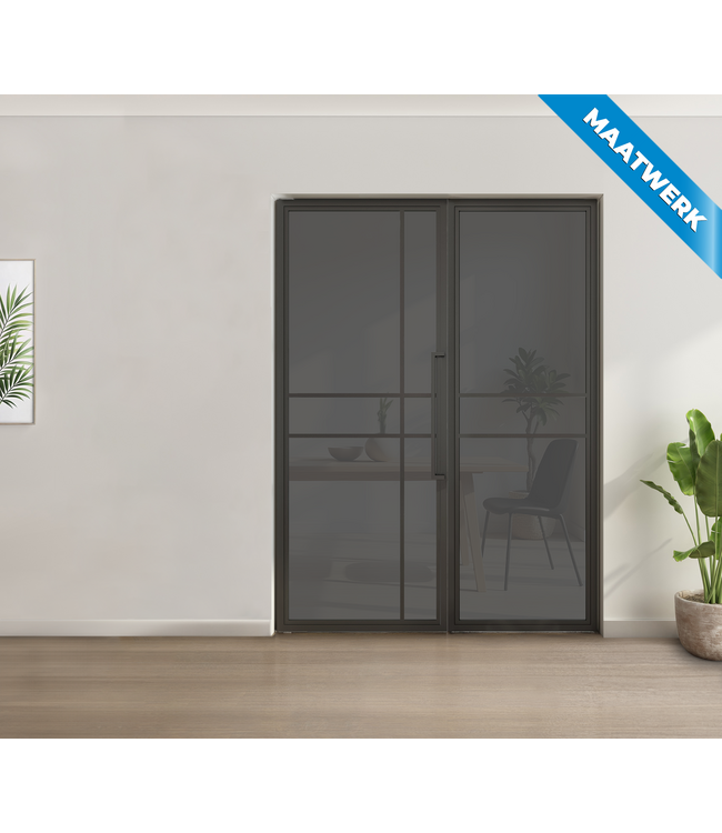 Enkele stalen taatsdeur met glaspaneel, 6 vlaks, rook glas
