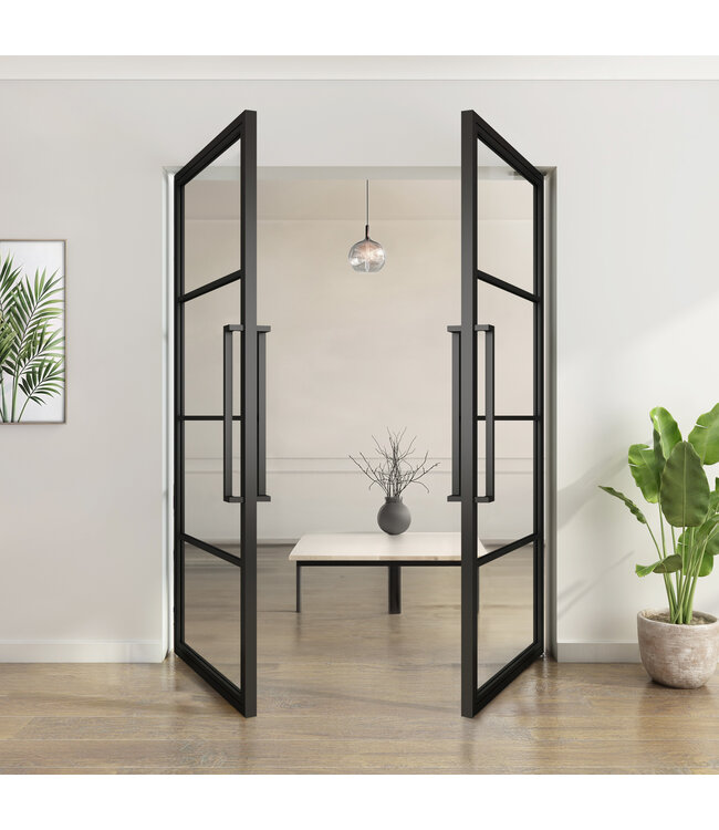 Dubbele stalen taatsdeur - Zwart - 4 Vlaks - Rook glas*