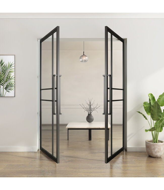 Dubbele stalen taatsdeur - Zwart - 6 Vlaks  - Rookglas - Luxe design