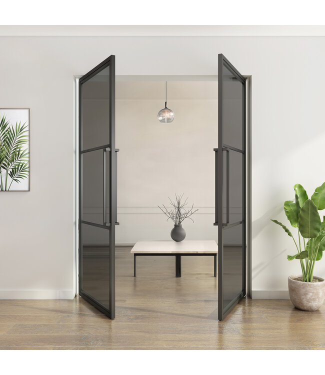 Dubbele stalen taatsdeur - Zwart - 3 Vlaks - Helder glas*