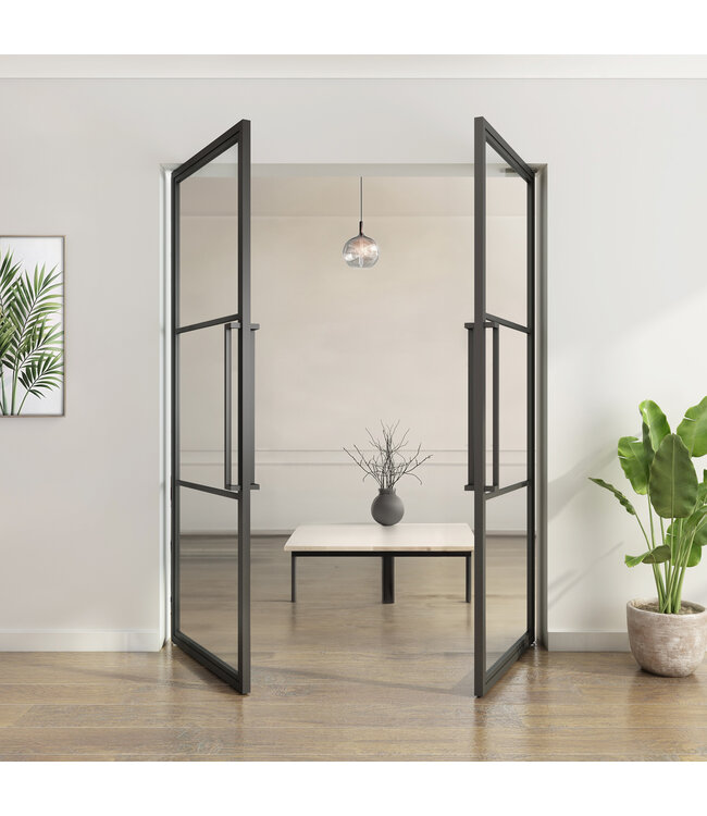 Dubbele stalen taatsdeur - Zwart - 3 Vlaks - Helder glas*