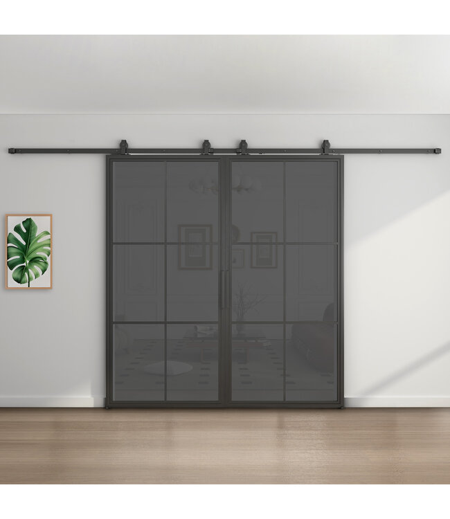 Dubbele stalen schuifdeur - Zwart - 6 Vlaks - Helder glas*