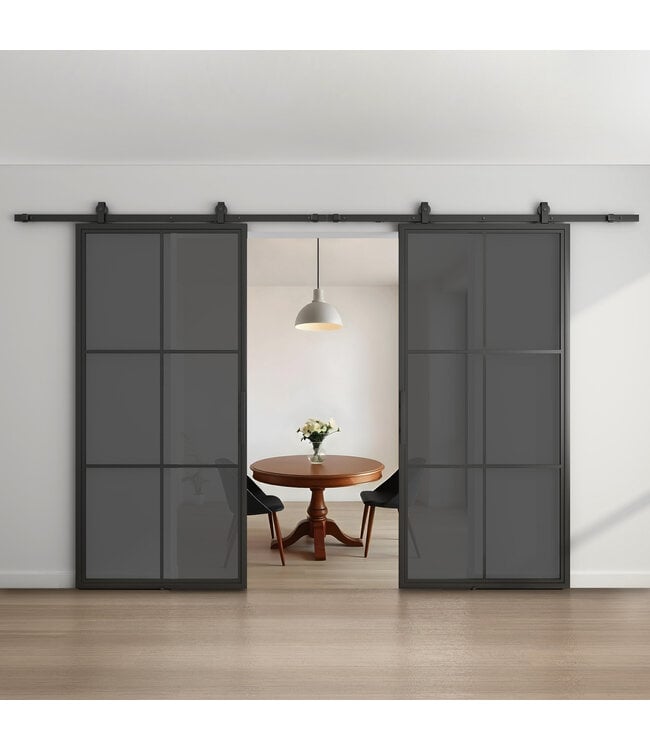 Dubbele stalen schuifdeur - Zwart - 6 Vlaks - Helder glas*