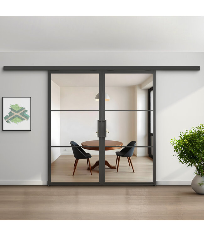 Dubbele stalen schuifdeur met koofsysteem - Zwart - 3 Vlaks - Rook glas*