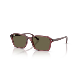 Ray Ban 0RJ9131S