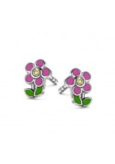 Collectie