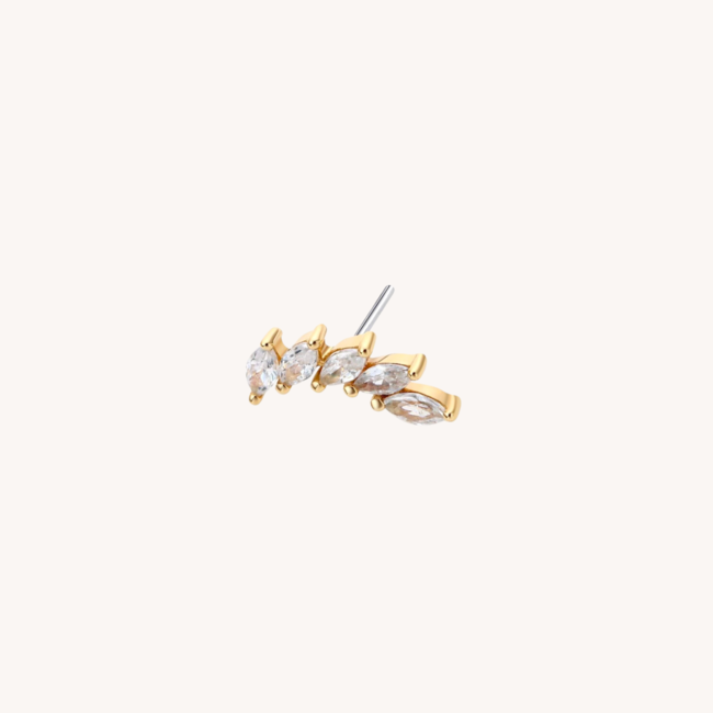 14K Massief Goud Threadless Labret Fangirl