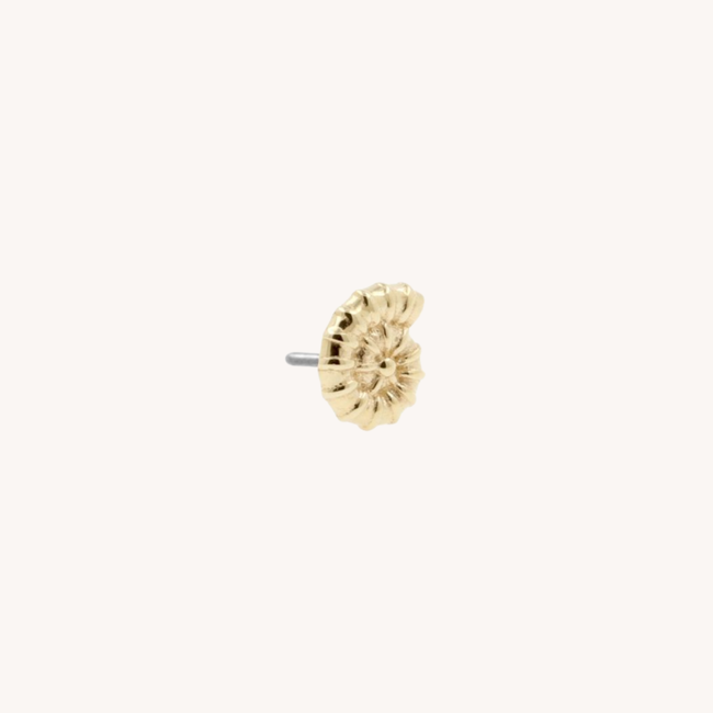 Ammonite Piercing 14K