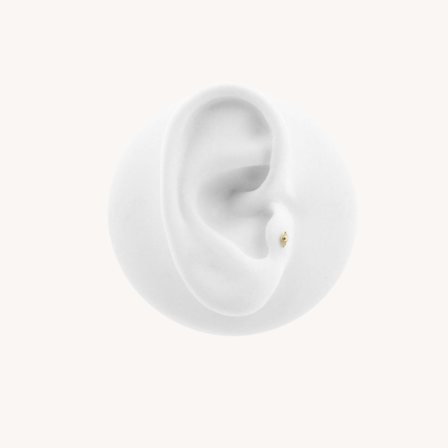 Forever Locket Piercing 14K