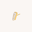 Dear Diary Prism Piercing Titanium