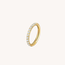 Halo Click Ring Titanium
