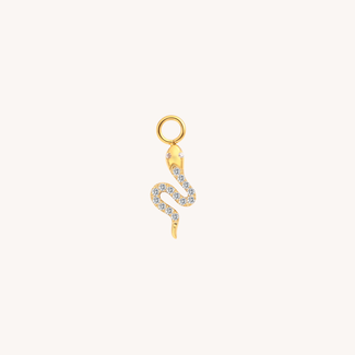 Dear Diary Fang & Loop Charm Titanium