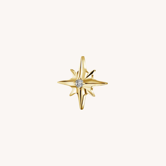 Dear Diary Astra Piercing Titanium