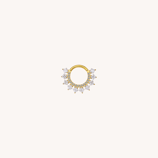 Dear Diary Aria Click Ring Titanium