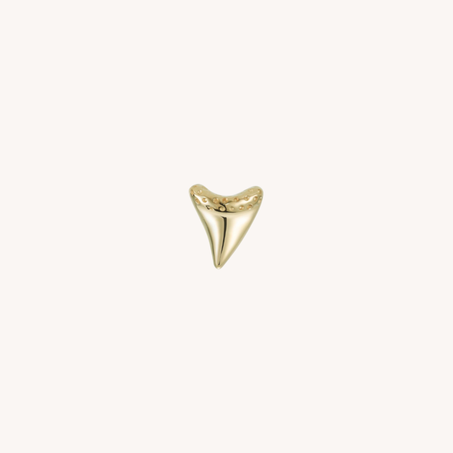 Tooth & Tide Piercing 14K
