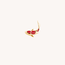 Dear Diary Akai Koi Piercing Titanium