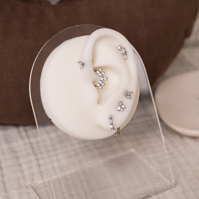 Echo Click Ring Titanium