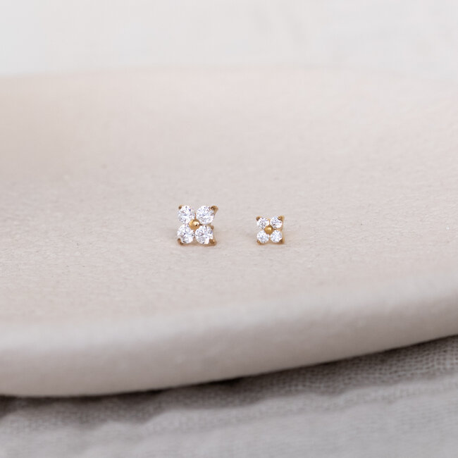 Amara Piercing Titanium